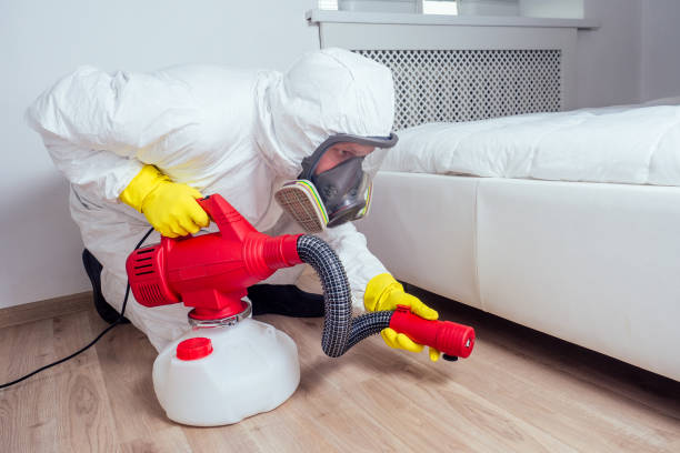 Best Local Pest Control Services  in Avon, OH