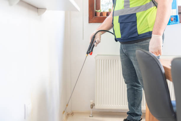 Trusted Avon, OH Pest Control Experts