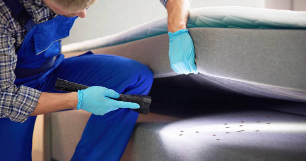 Best Commercial Pest Control Services  in Avon, OH