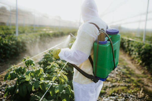 Best Bed Bug Extermination  in Avon, OH